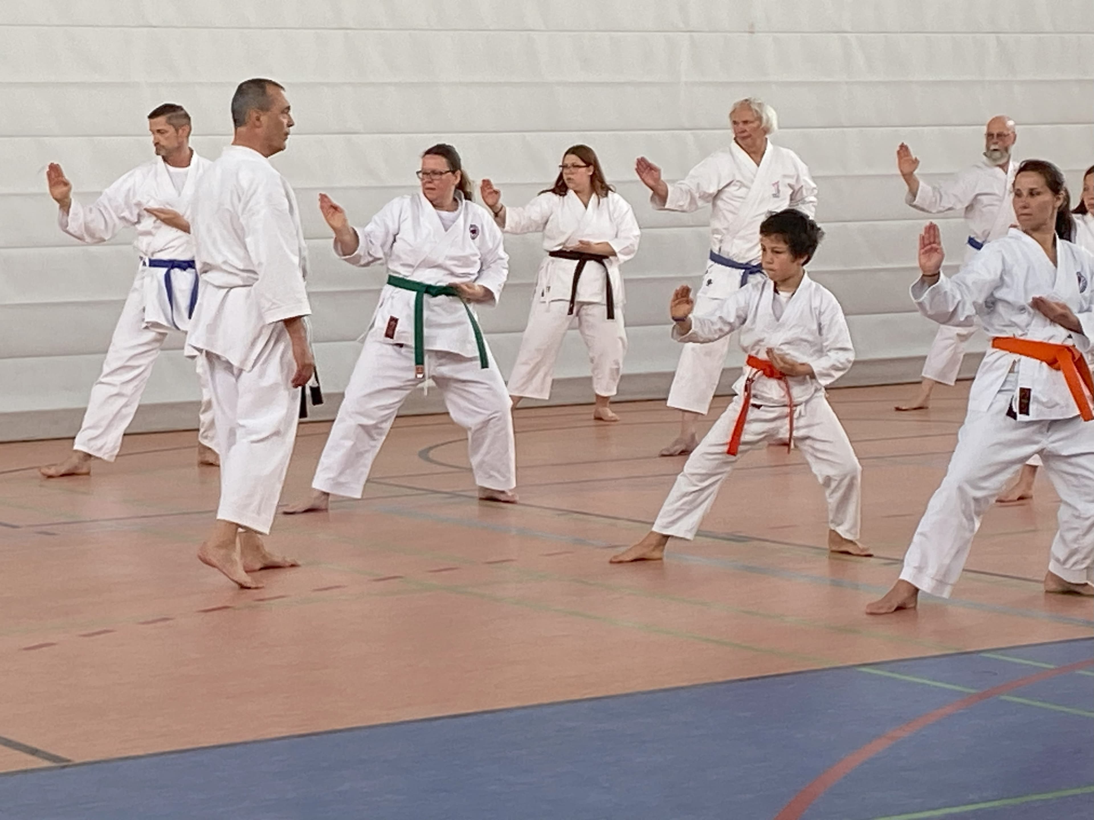 Kata in allen Farben<br>