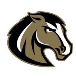 Logo der MannschaftFilderstadt Mustangs